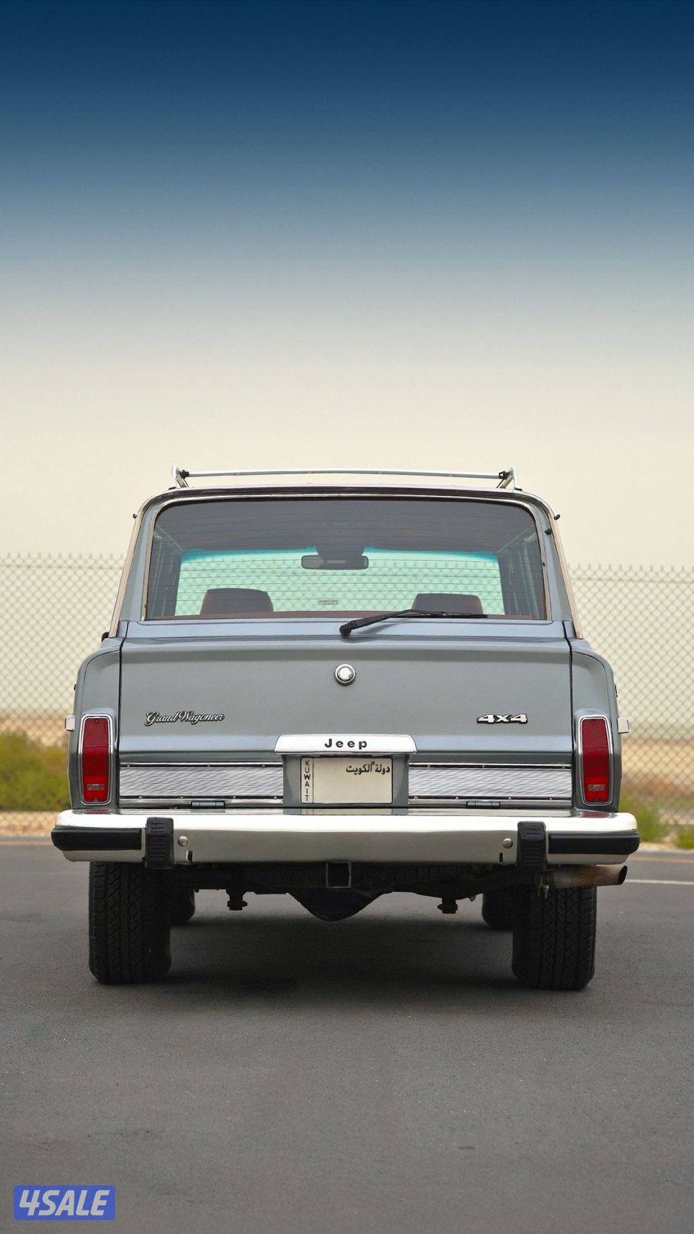 JEEP GRAND WAGONEER _19913