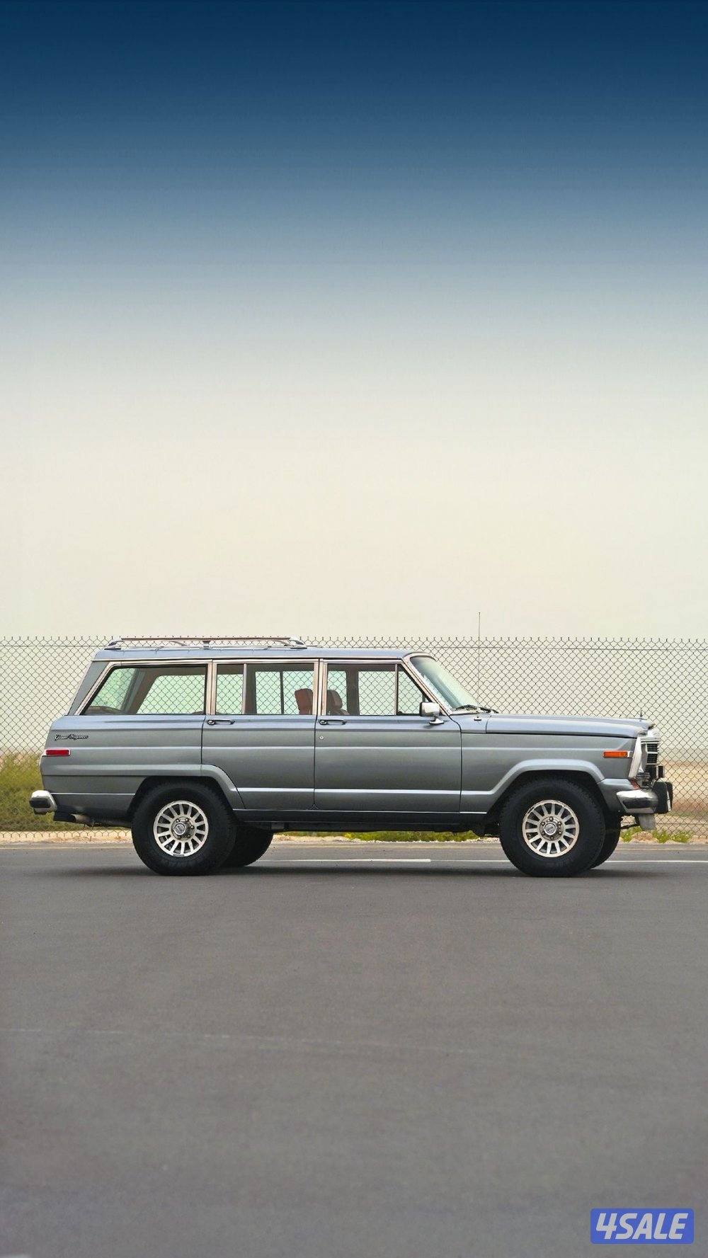 JEEP GRAND WAGONEER _19914