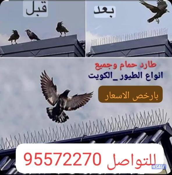 مهندس طارد للحمام .شبك طارد حمام.طارد الطيور0