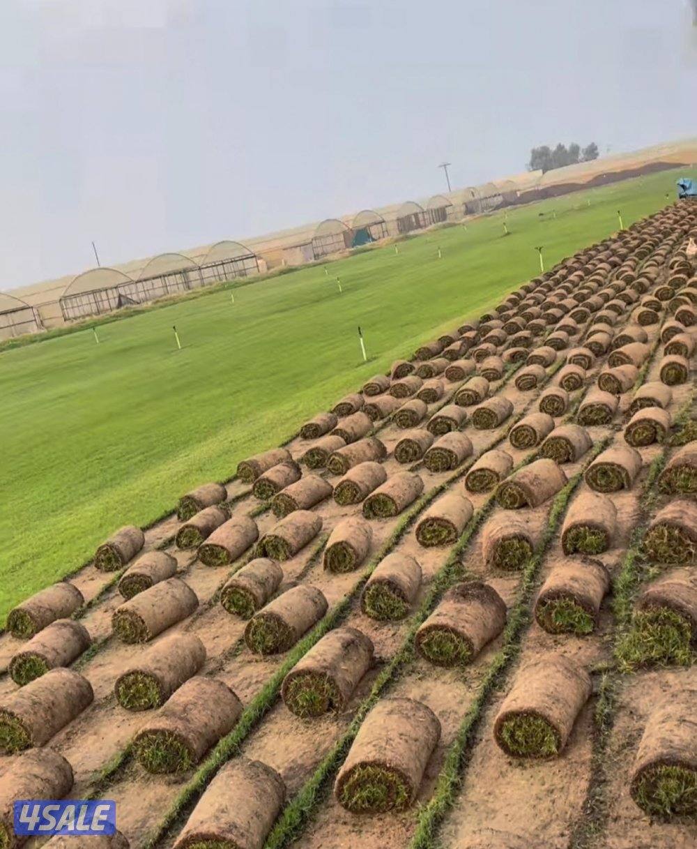 مبيعات ثيل طبيعي صناعي15