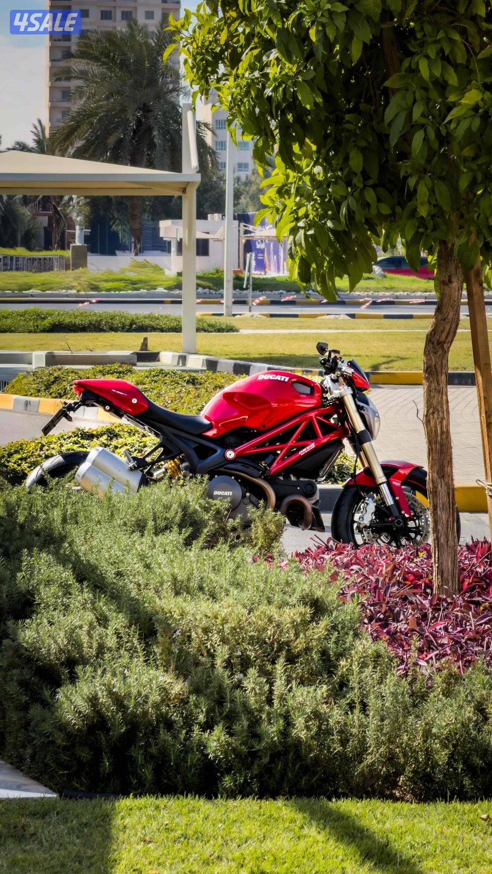 DUCATI Monster 1100 EVO Limited Edition0