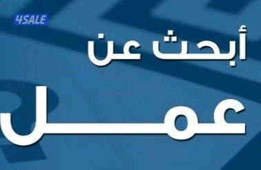 أبحث عن فرصه عمل0