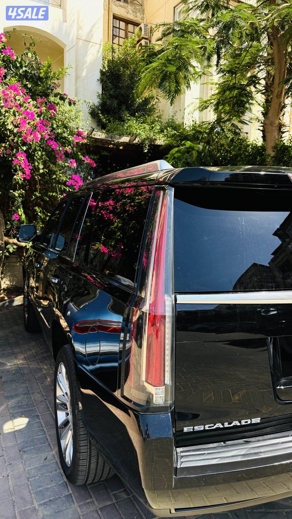 كاديلاك اسكاليد بلاتينيوم موديل 2016 نضيف جدا وارد امريكا1