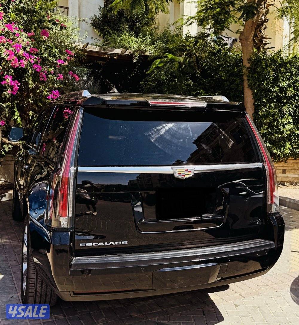 كاديلاك اسكاليد بلاتينيوم موديل 2016 نضيف جدا وارد امريكا0