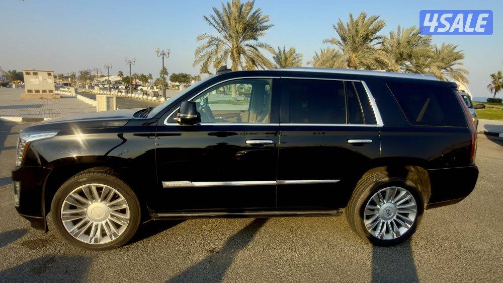 كاديلاك اسكاليد بلاتينيوم موديل 2016 نضيف جدا وارد امريكا8