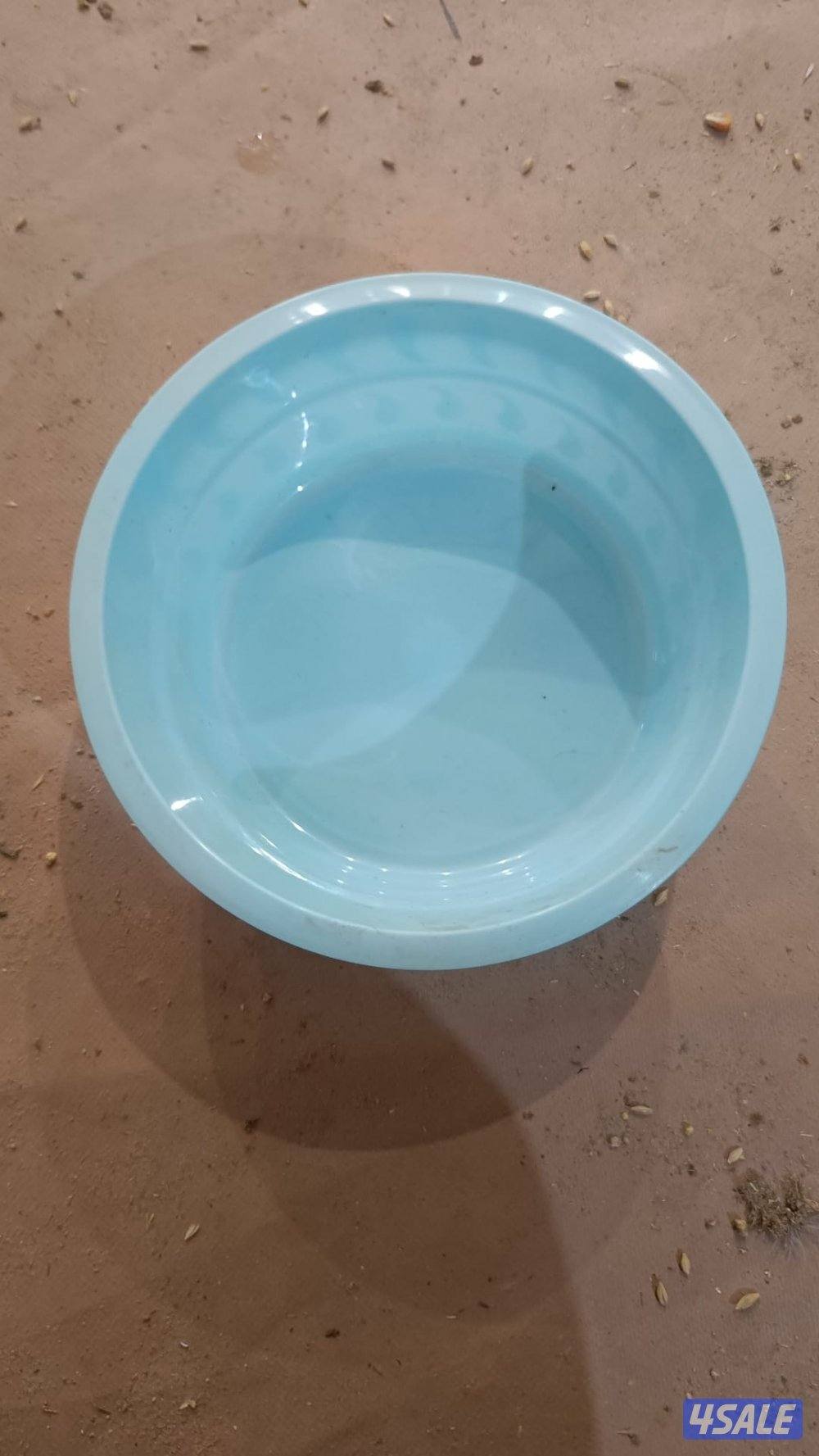 للبيع قصوص بيض جوده عالية فية جديد وفية مستعمل0