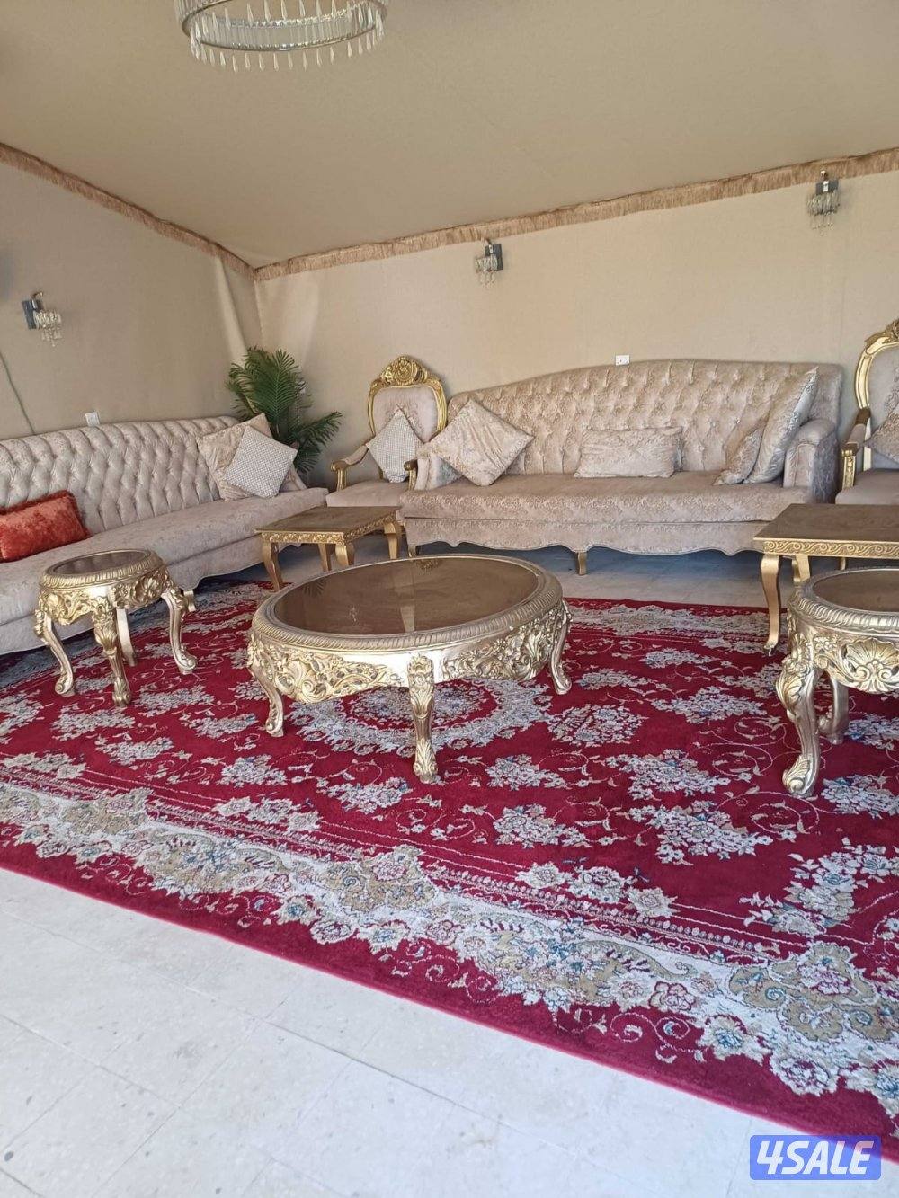 غسيل بالشامبو - تنظيف ناشف - غسيل سجاد برادي - اثاث - كنفات - شقق - فل10