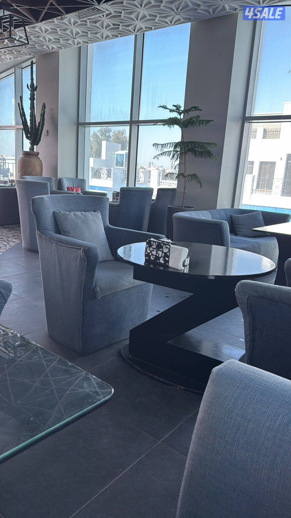 مطلوب شريك1