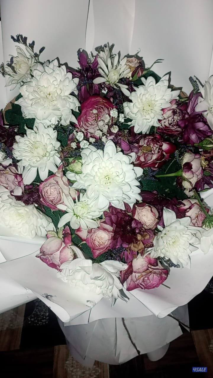 باحث عن عمل خريج علوم اداريه قسم المحاسبه سوداني الجنسية0