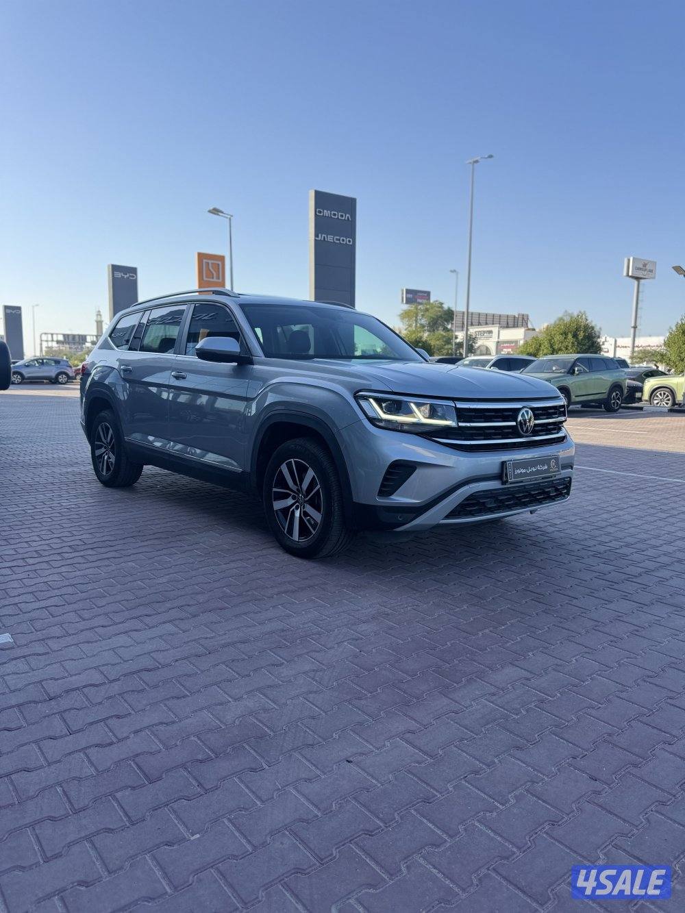 تيرامونت 2022 (صبغ وكالة - تحت الكفالة)2