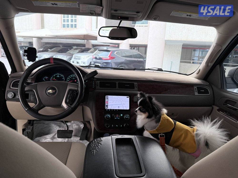 الرجاء قراءه الاعلان - تاهو ٢٠١٢ LT11