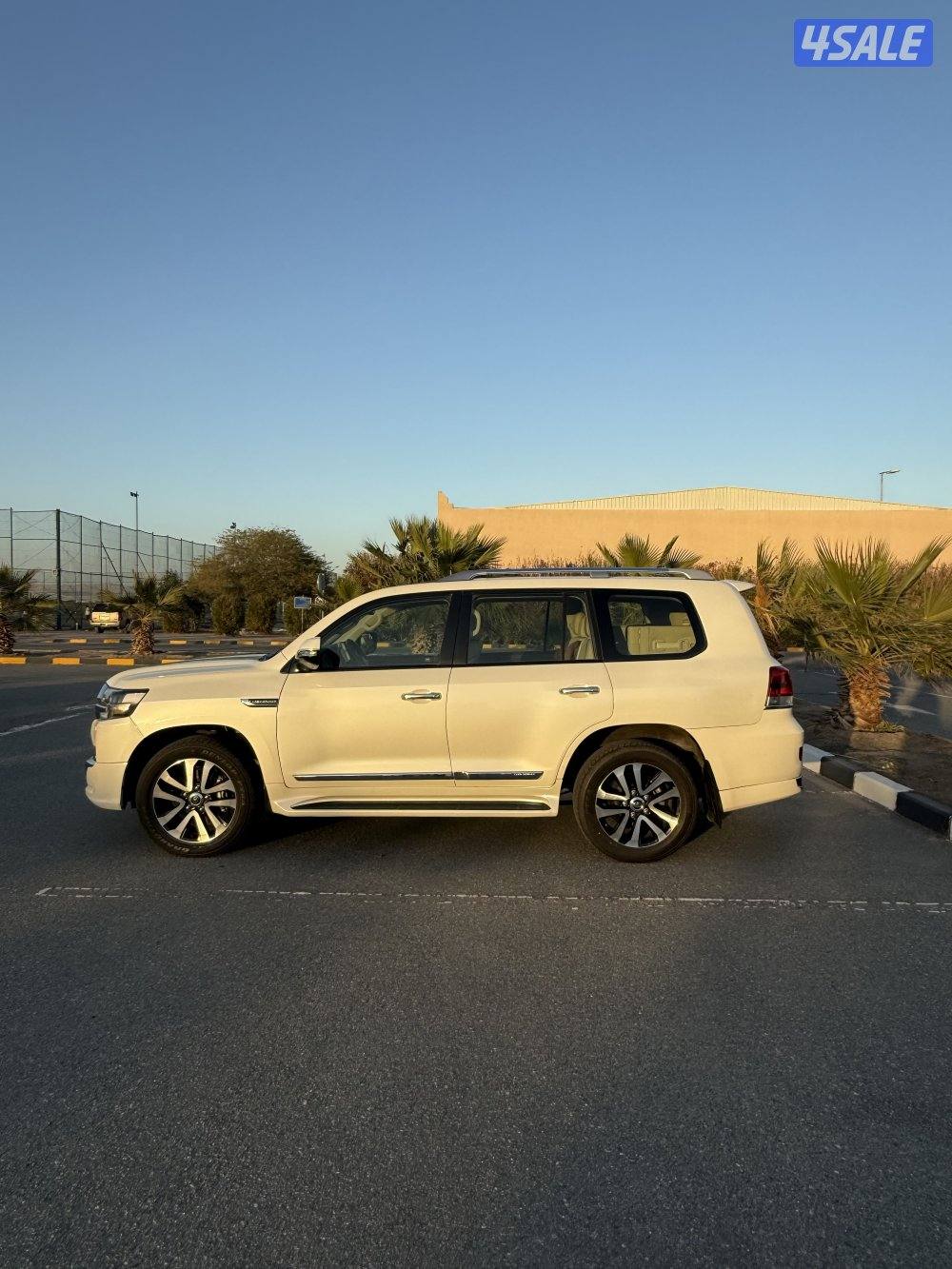 تورنق جلد عداد ١٦٦0