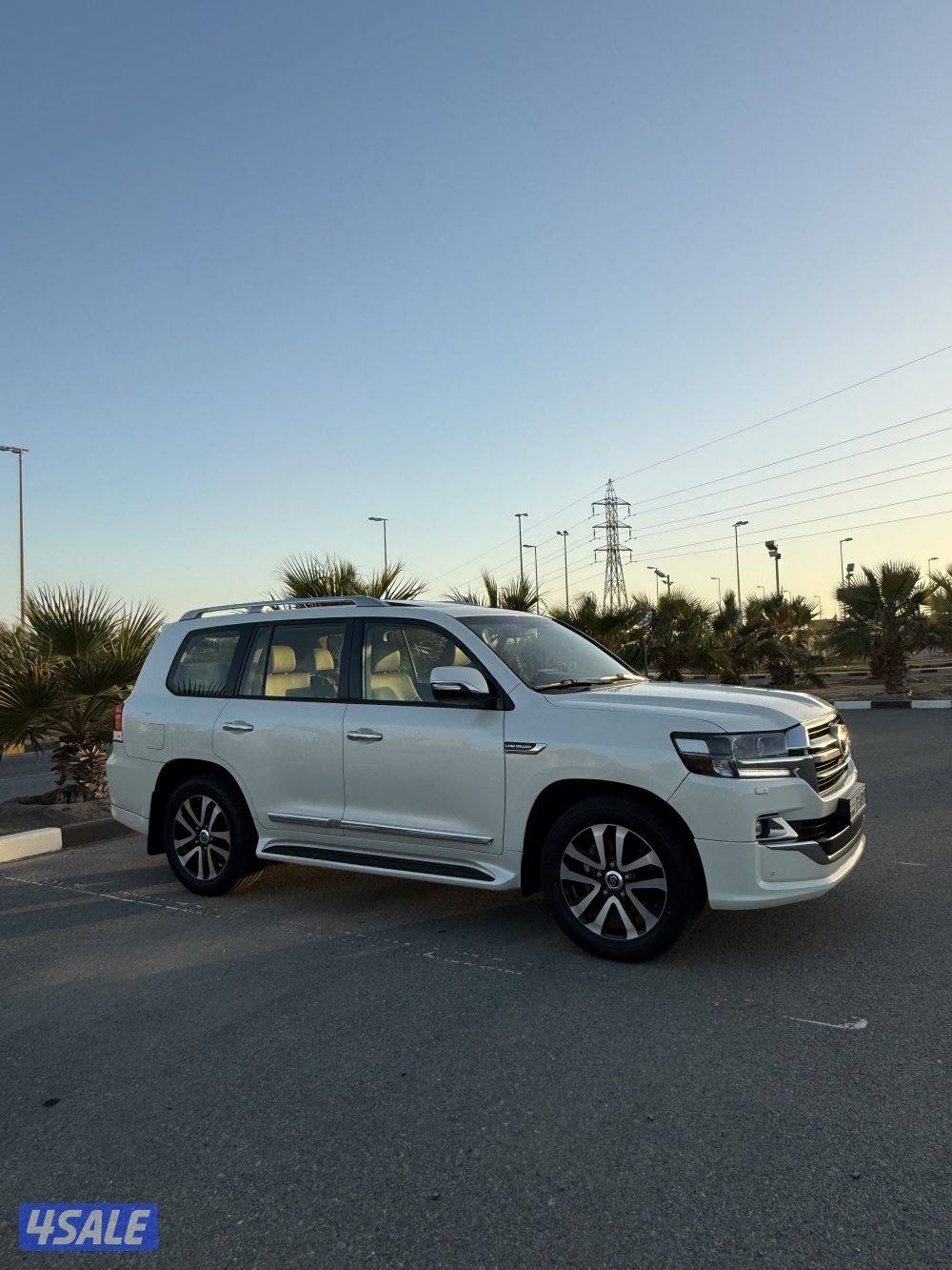 تورنق جلد عداد ١٦٦2