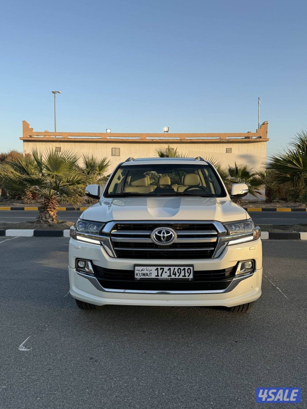 تورنق جلد عداد ١٦٦3