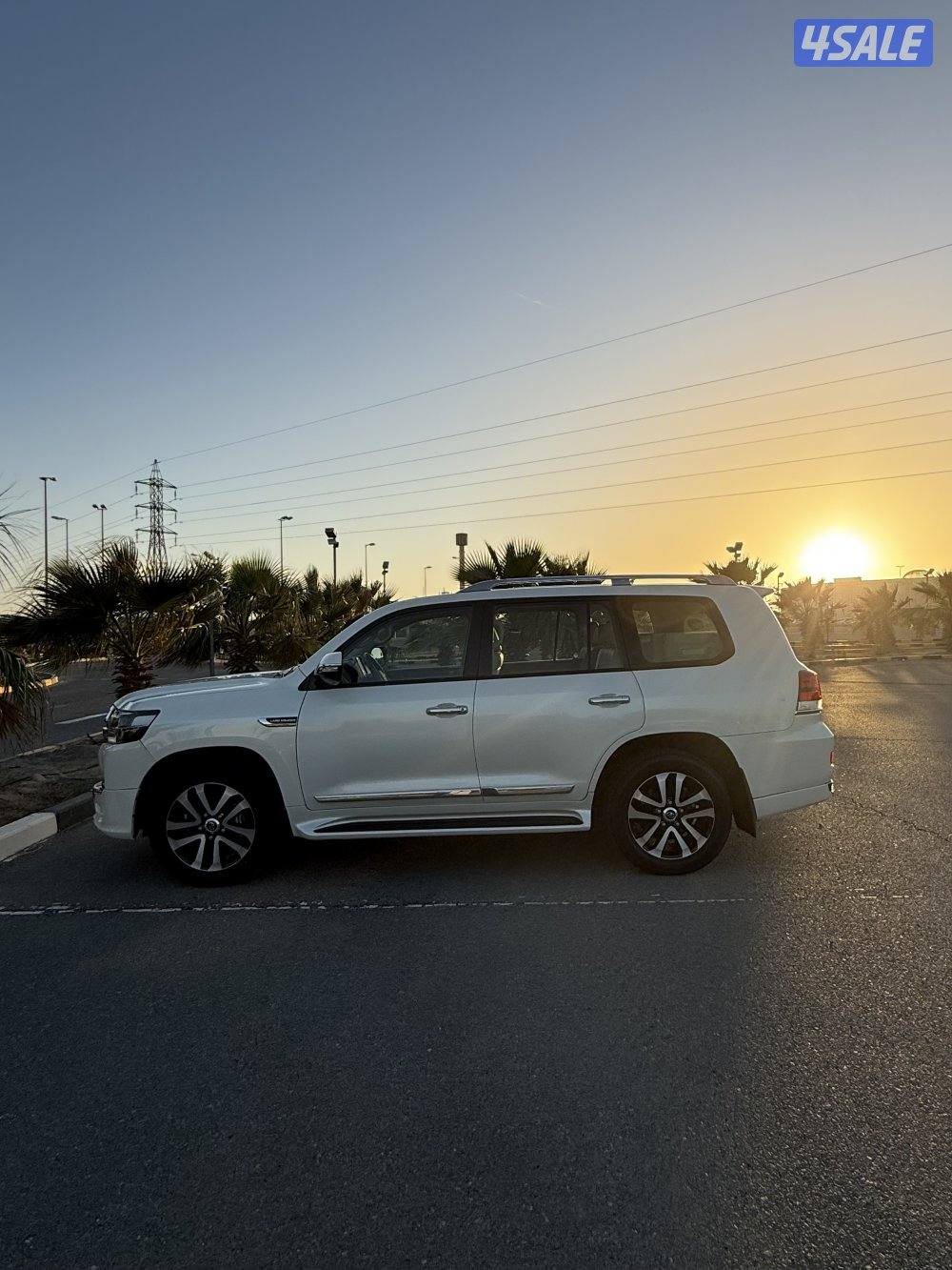 تورنق جلد عداد ١٦٦5