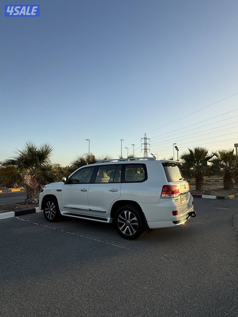 تورنق جلد عداد ١٦٦6