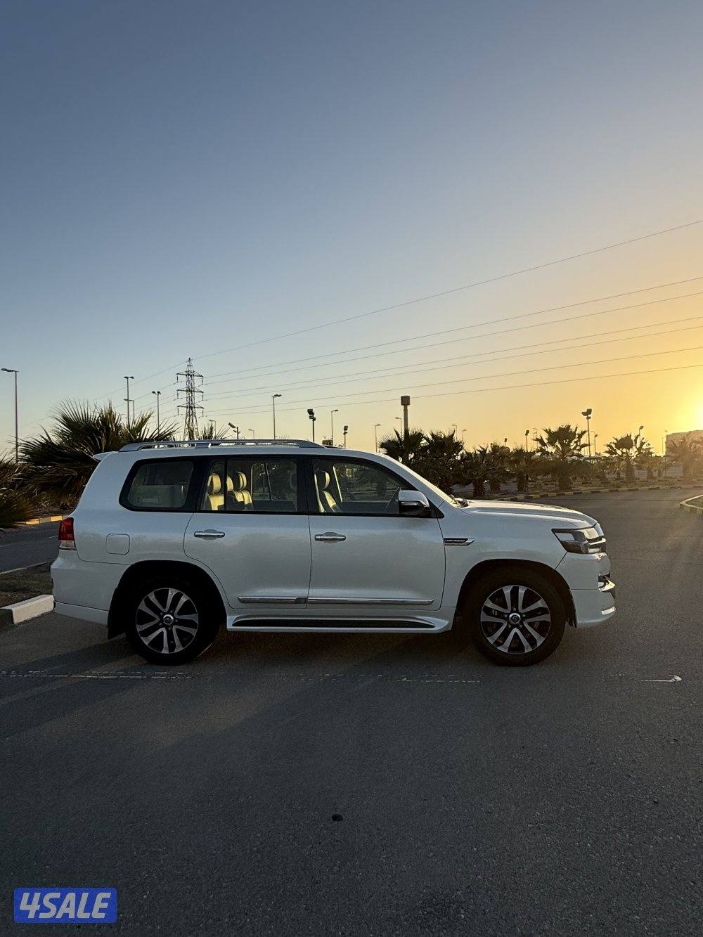 تورنق جلد عداد ١٦٦13