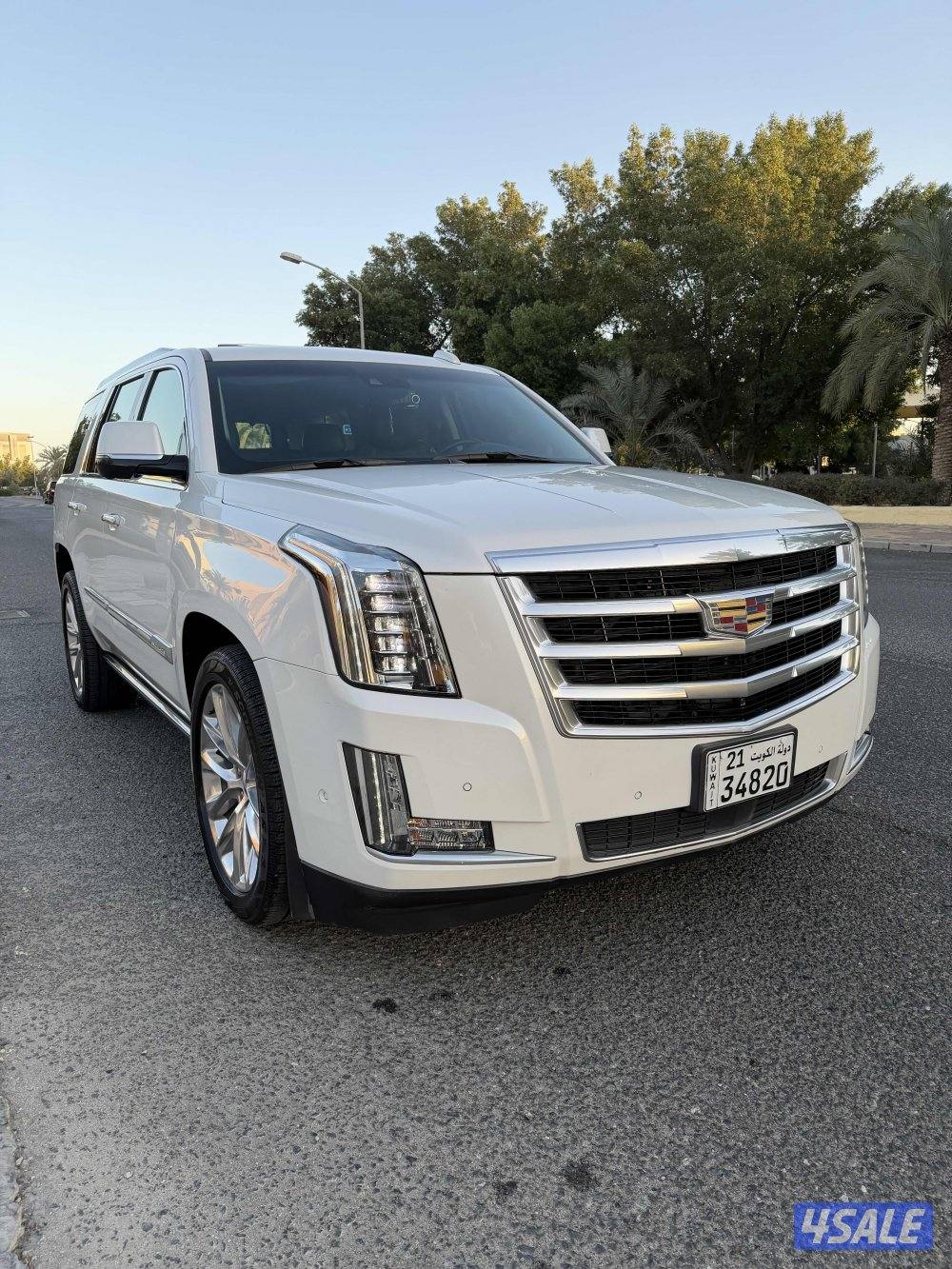 بحاله ممتازه صبغ الوكاله1