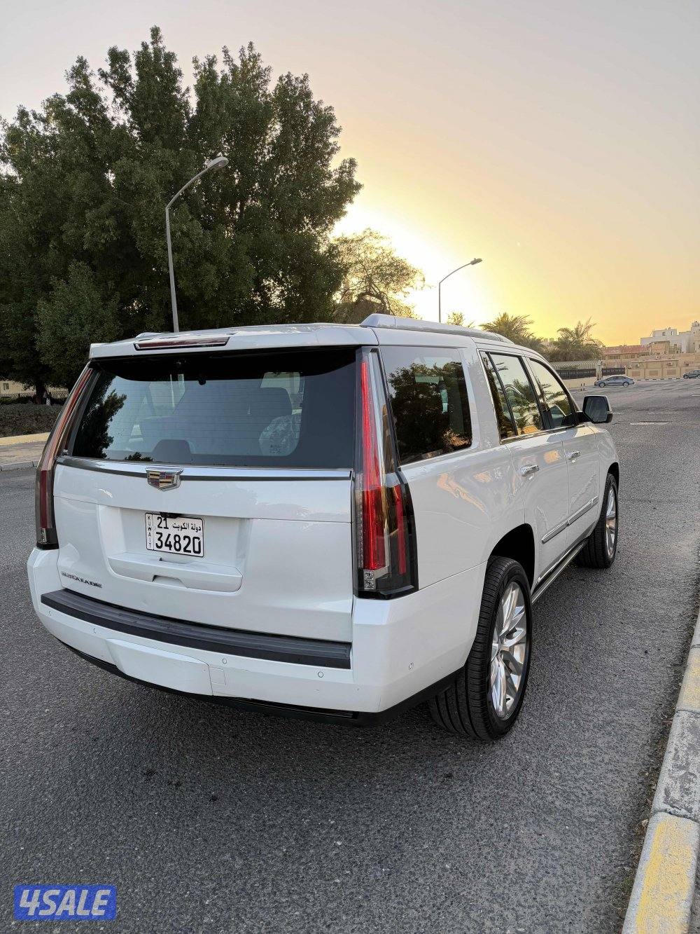 بحاله ممتازه صبغ الوكاله2