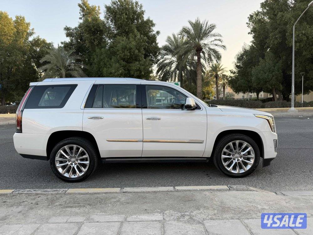 بحاله ممتازه صبغ الوكاله4