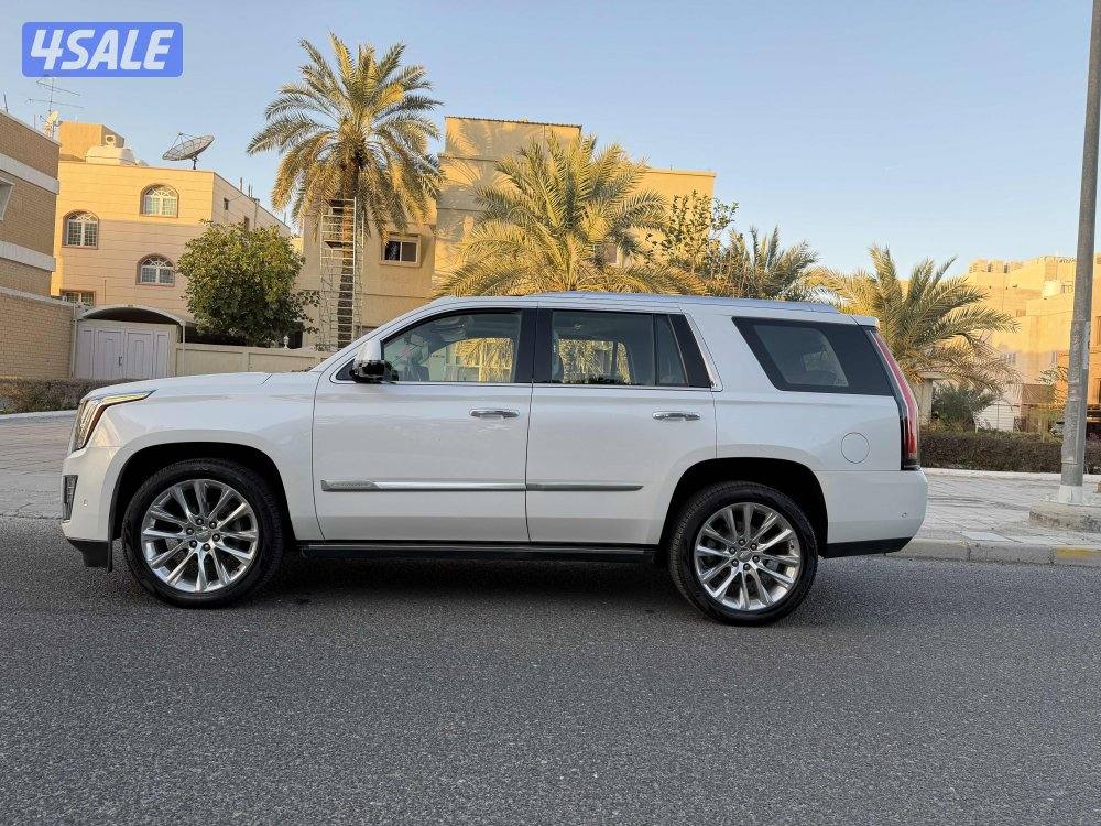 بحاله ممتازه صبغ الوكاله5