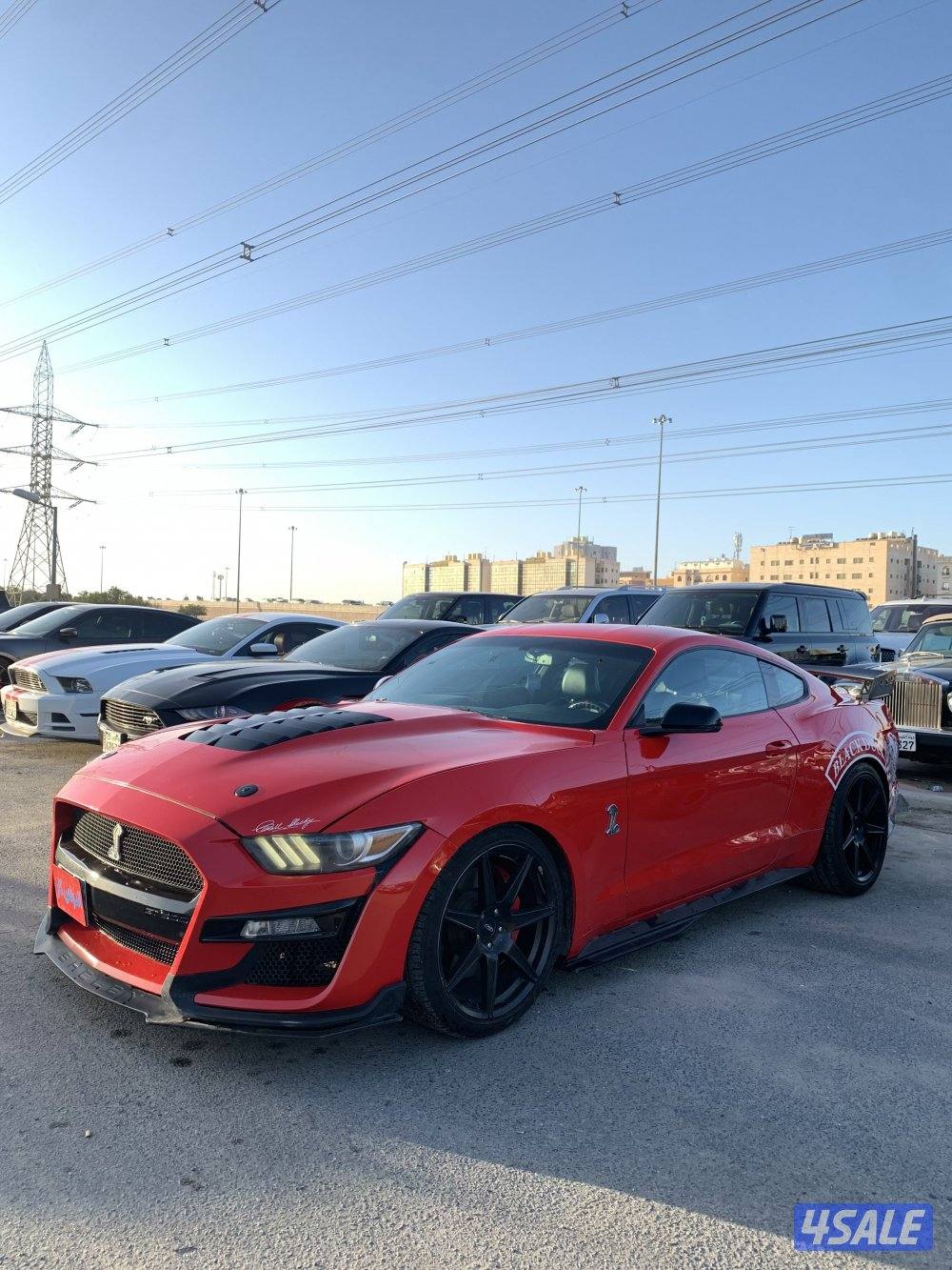 موستانج 2016 سبشل كلفورنيا1