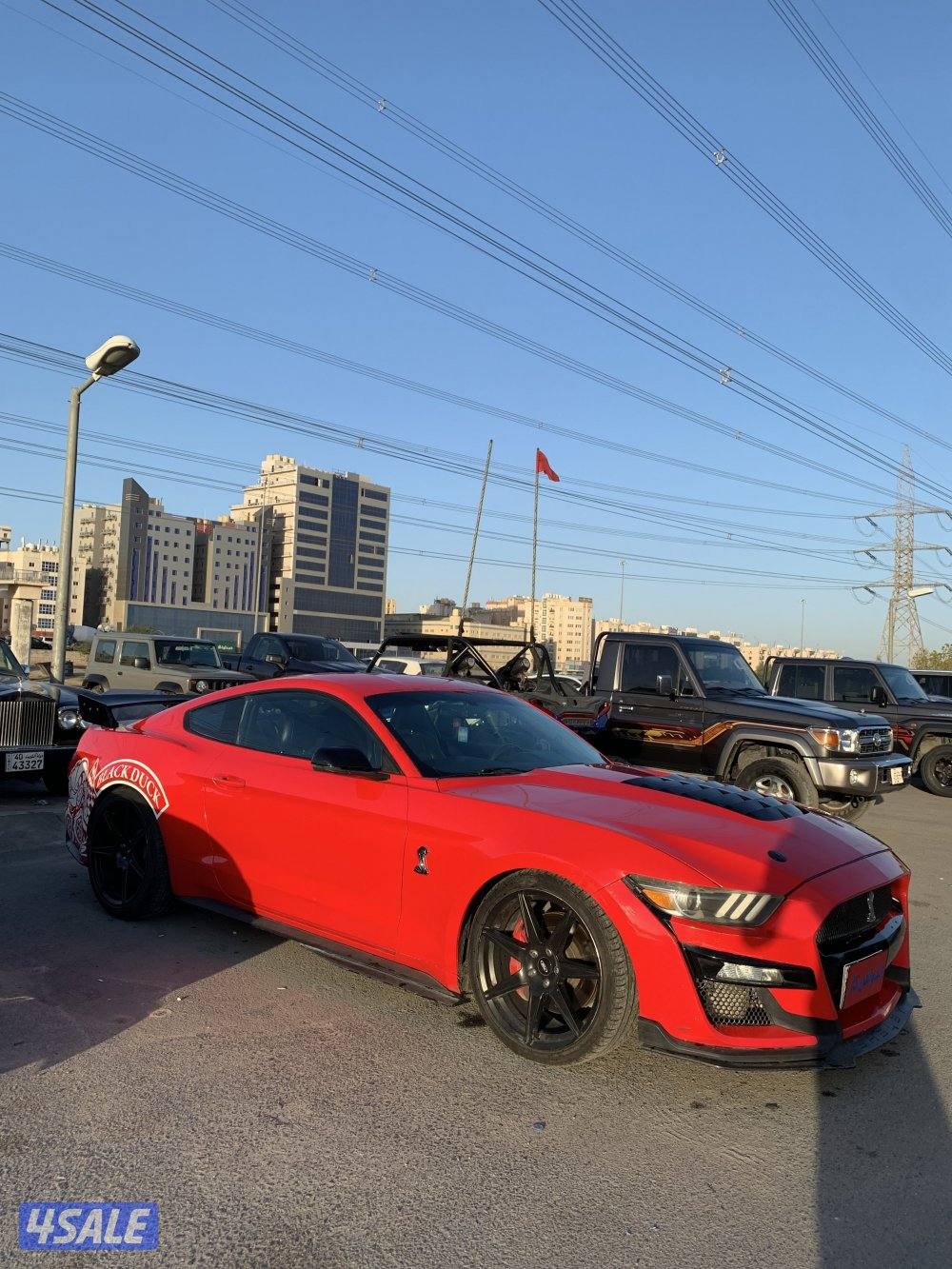 موستانج 2016 سبشل كلفورنيا3