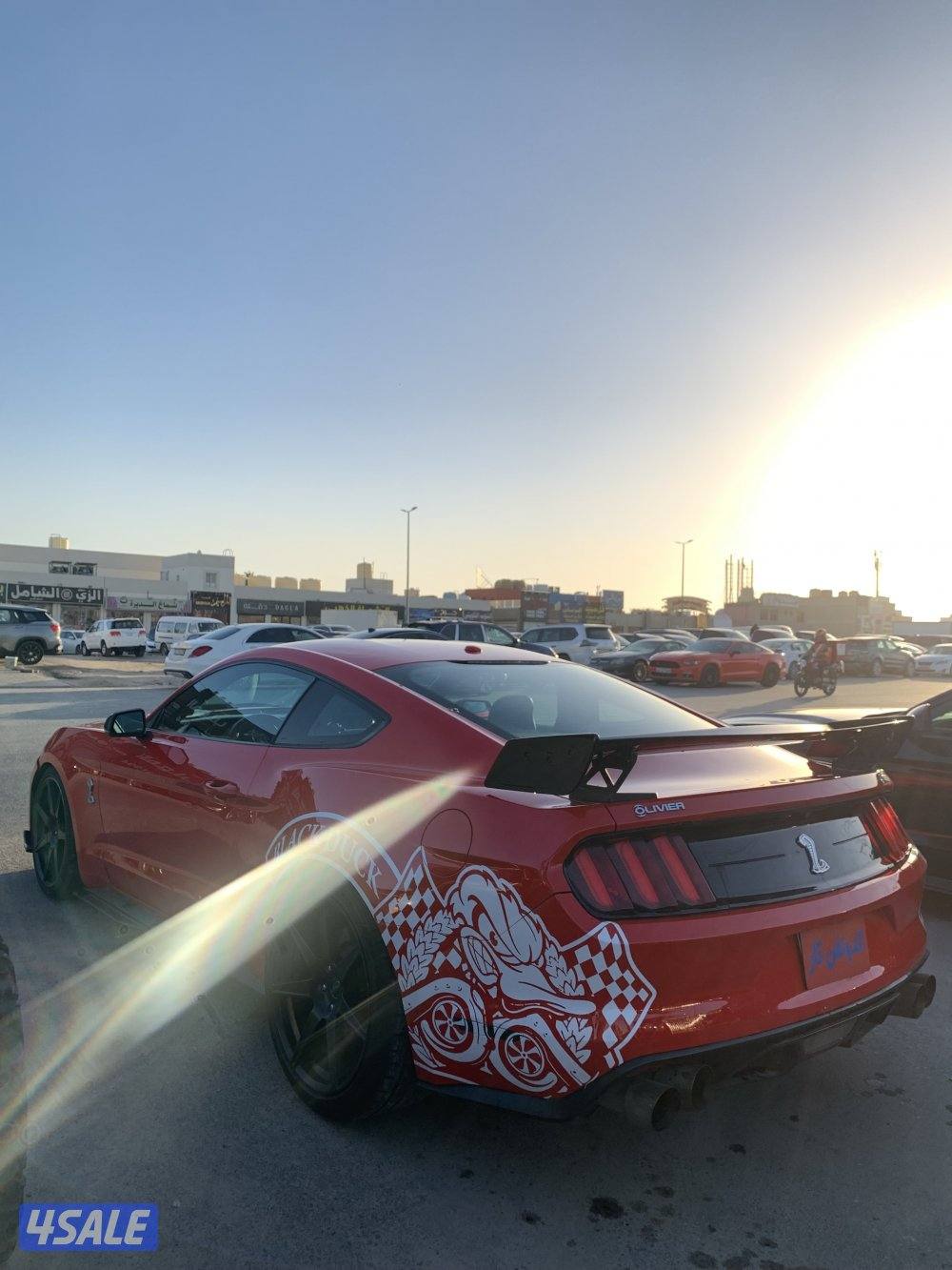 موستانج 2016 سبشل كلفورنيا4