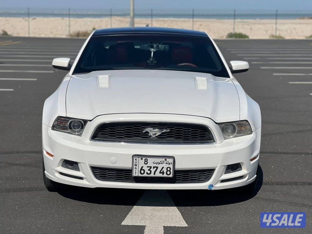 موستانج 20131