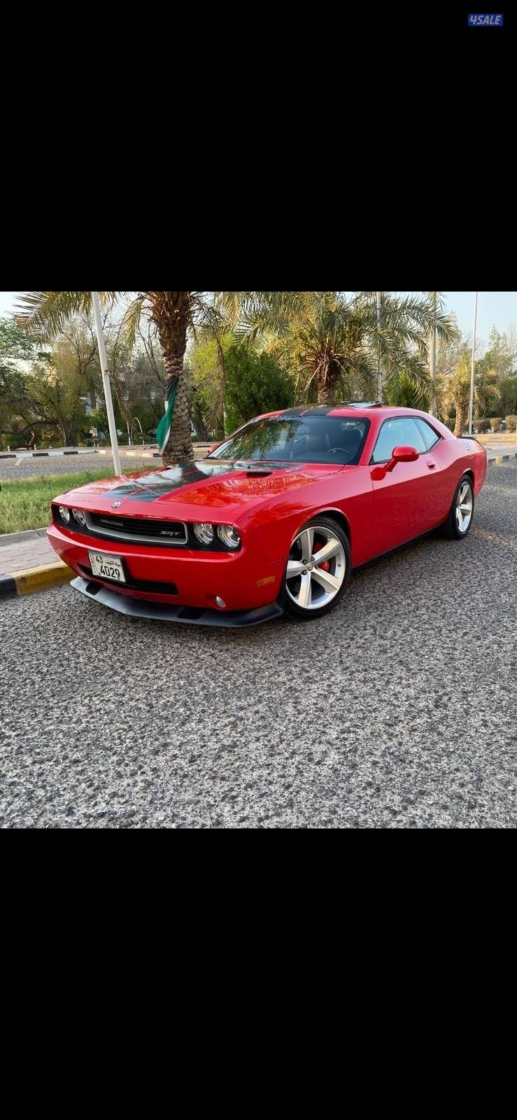 دودج شالنجر2