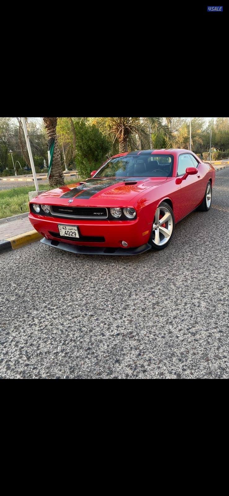 دودج شالنجر5