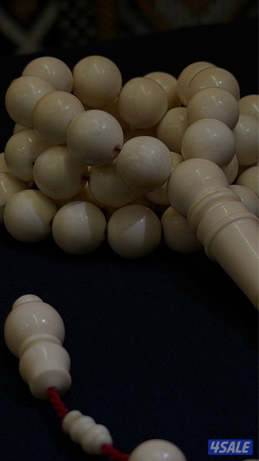 مسباح عاج الفيل6