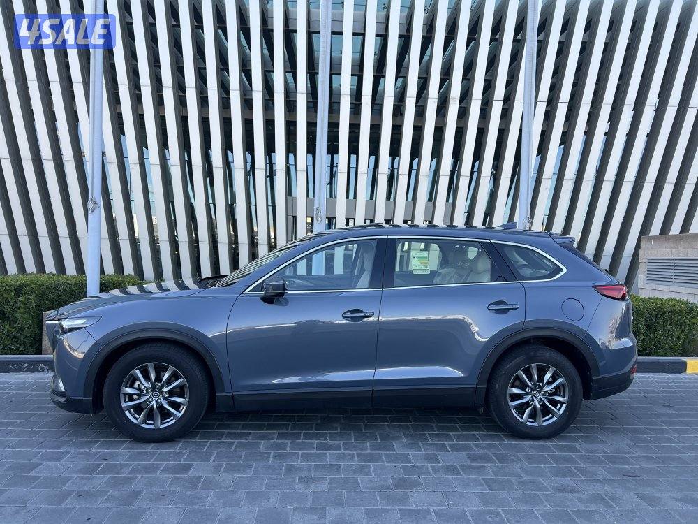 ٢٠٢٣ صبغ الوكاله0