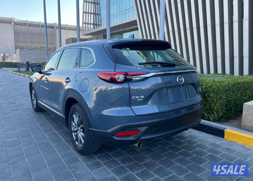 ٢٠٢٣ صبغ الوكاله4