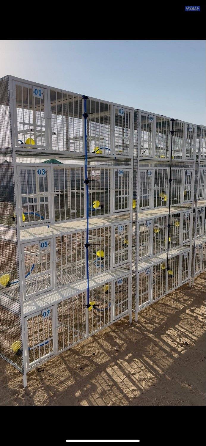 مو تجاري … شغل ورشة 💪 | خانات حمام ومحاصير دجاج3