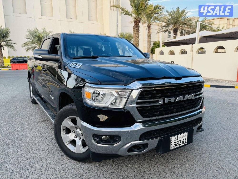 Doge Ram model 20220