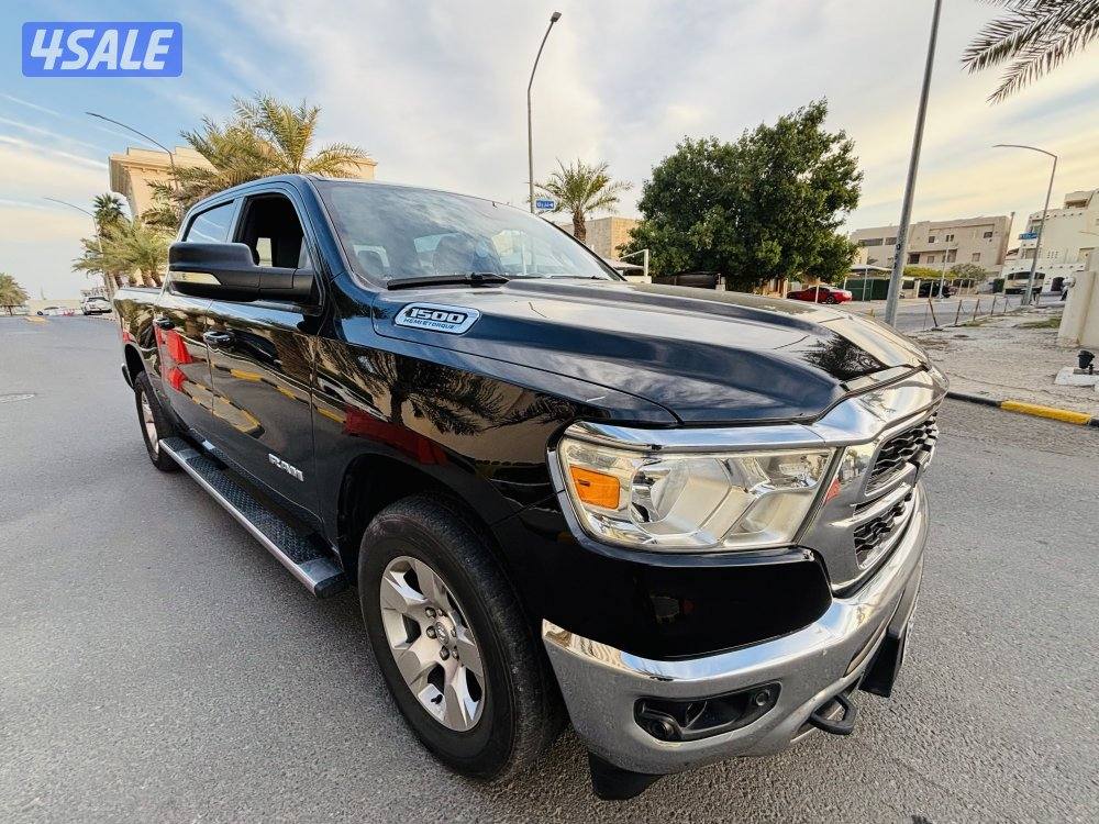 Doge Ram model 20223