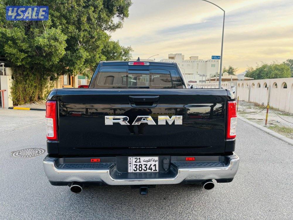 Doge Ram model 20225