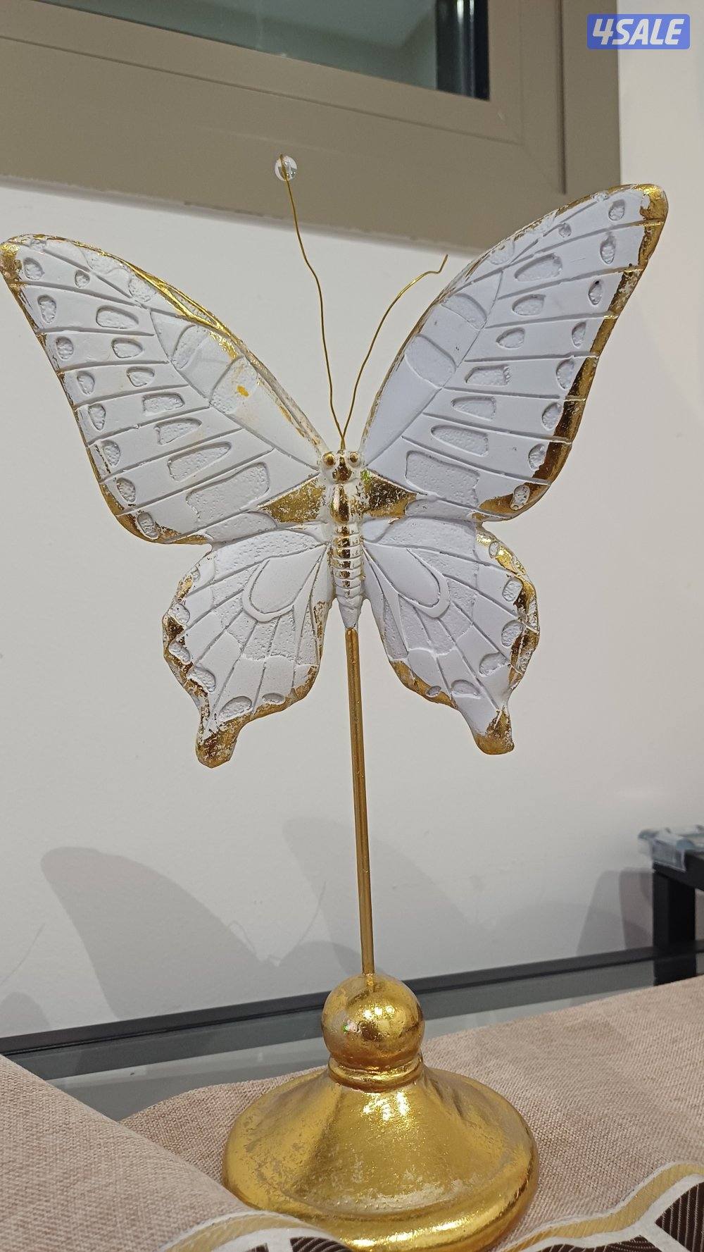 مطلوب شقة للإيجار(إعلان شخصي) معاريس0