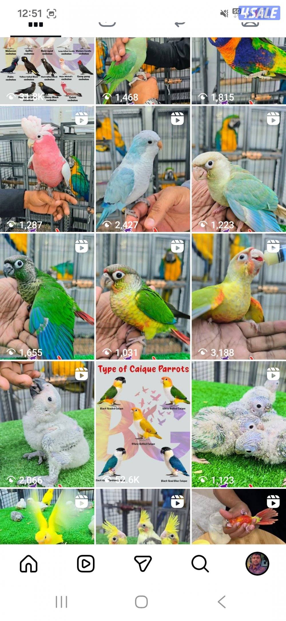 🐦 جميع أنواع الطيور متوفرة لدينا
📸🎯سوق الحمام محل رقم ٢٣🏠2