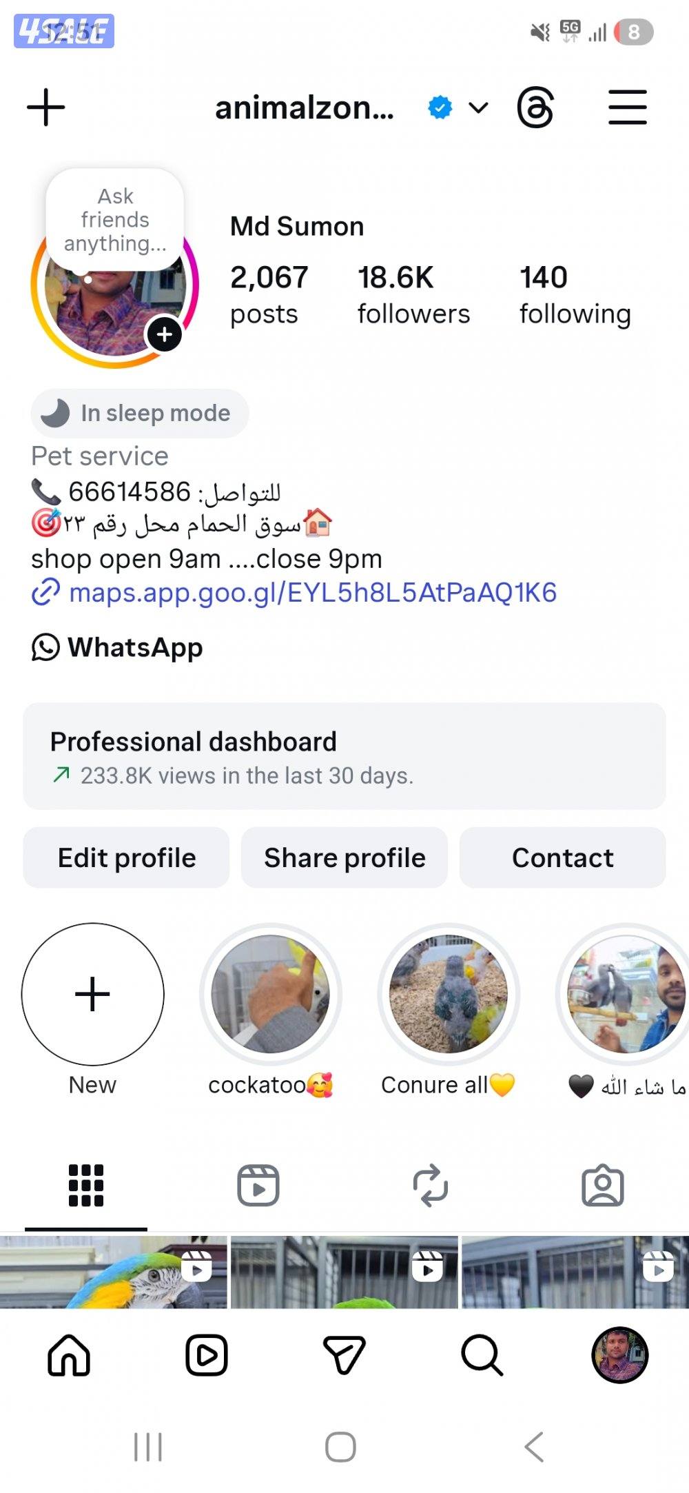 🐦 جميع أنواع الطيور متوفرة لدينا
📸🎯سوق الحمام محل رقم ٢٣🏠4