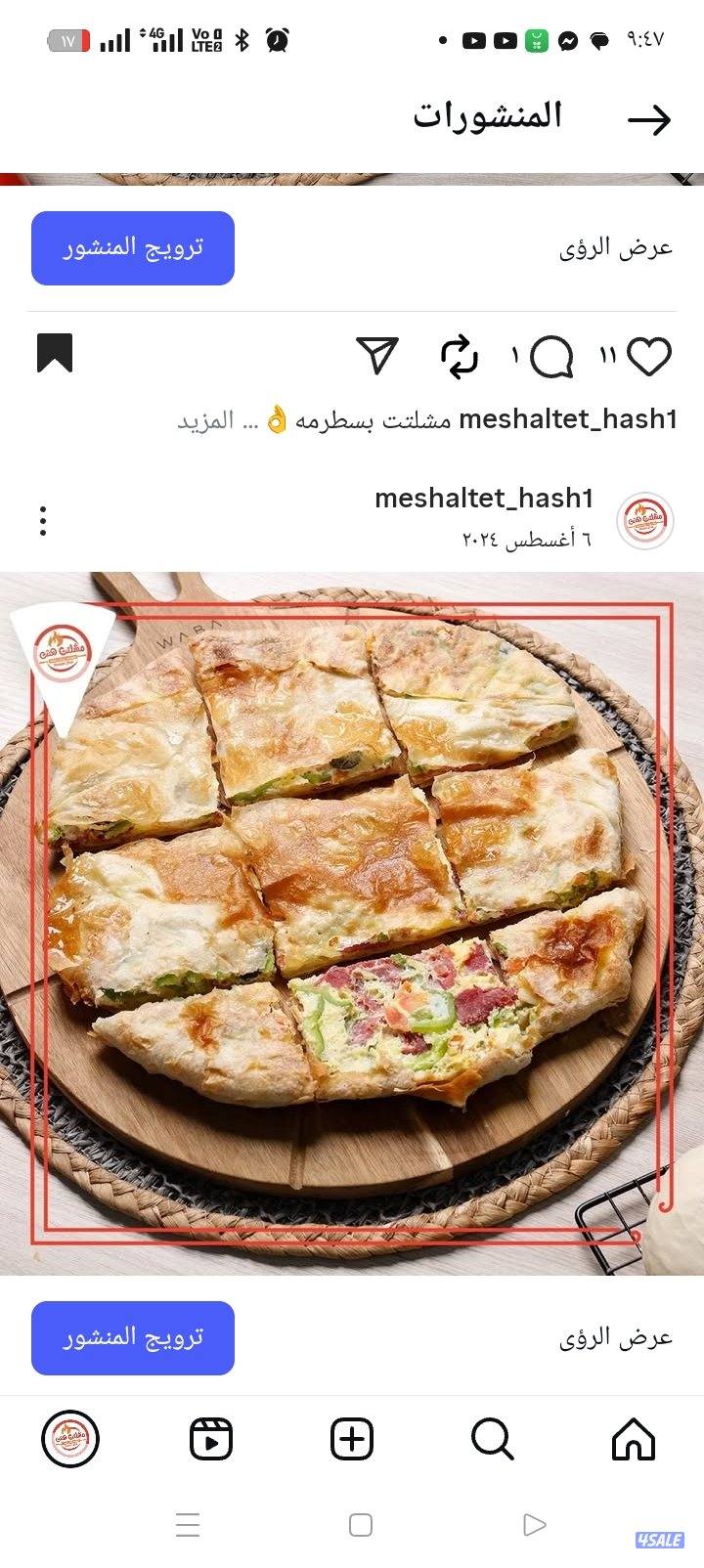 شيف مشلتت وفطائر أبحث عن عمل2