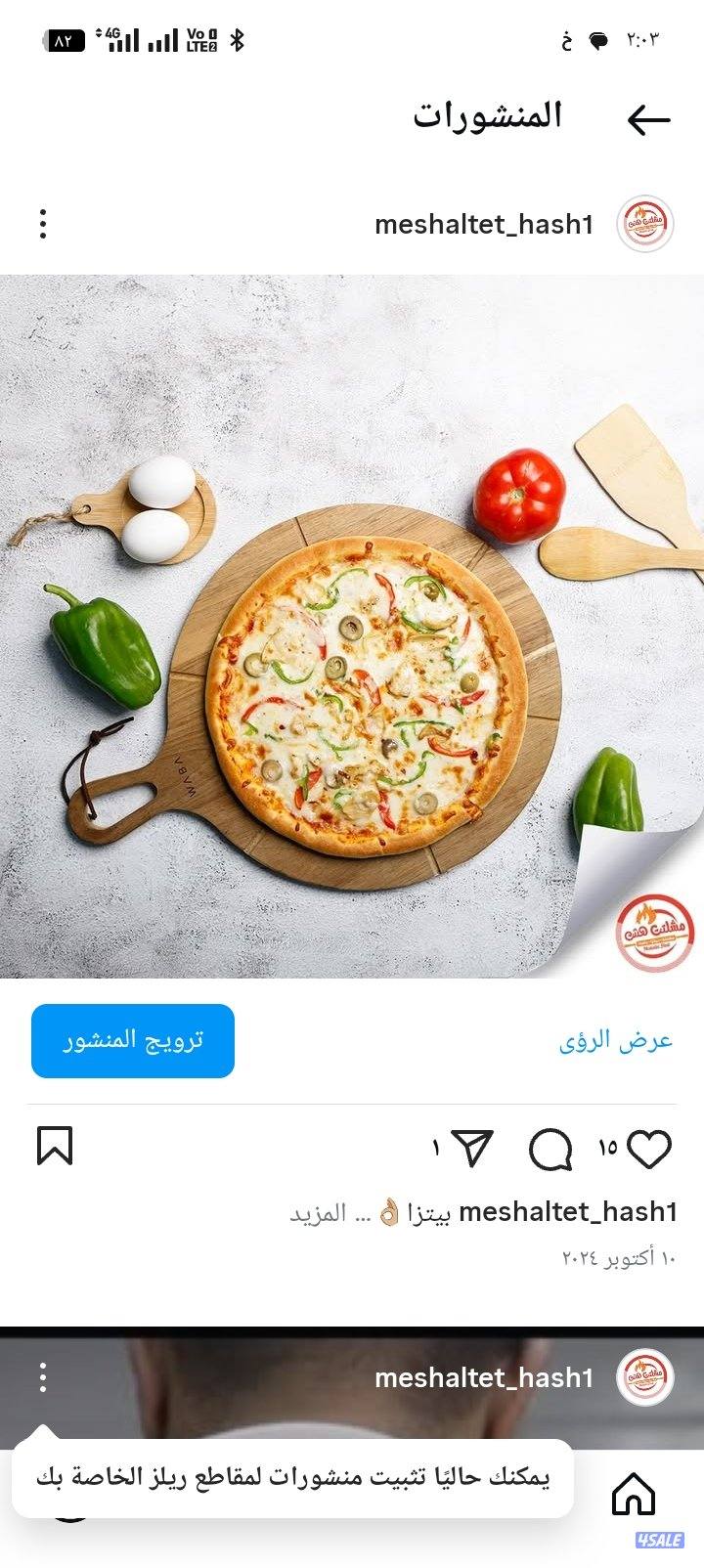 شيف مشلتت وفطائر أبحث عن عمل3