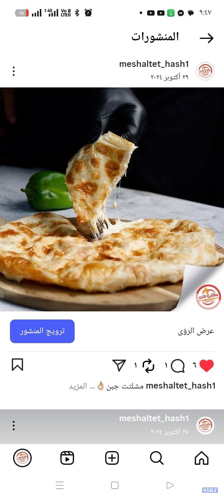 شيف مشلتت مصري0