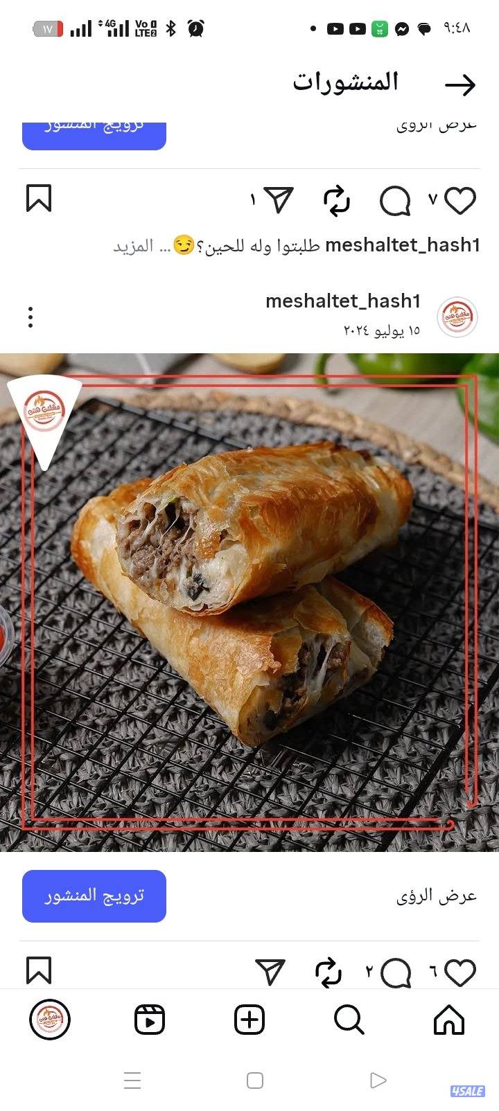 شيف مشلتت مصري1