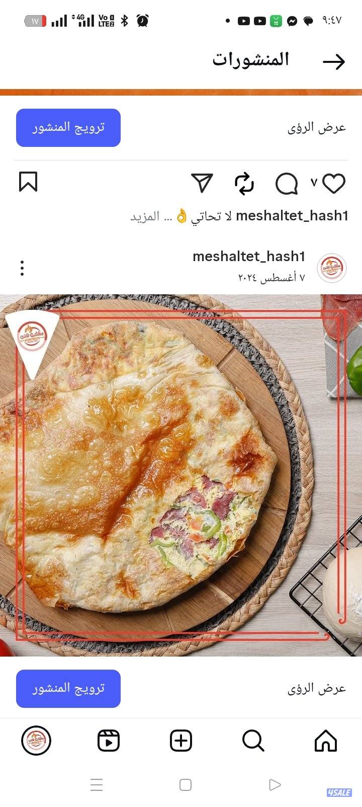 شيف مشلتت مصري3