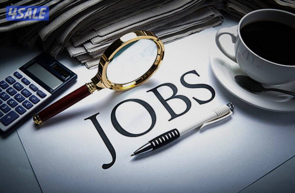 محاسبه مبتدئه ابحث عن وظيفه0