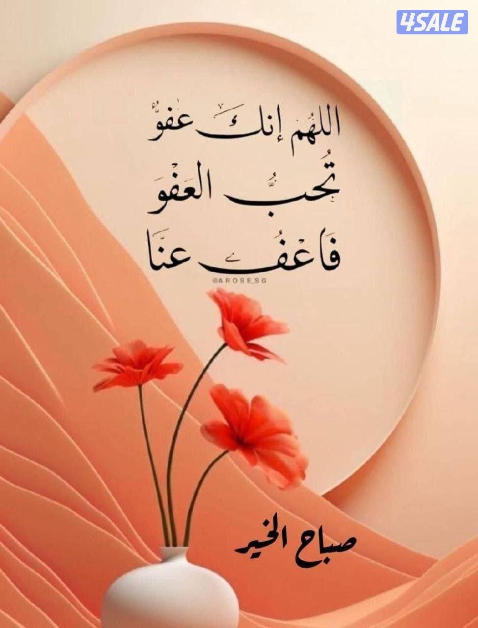 معلم فايبر جلاس وصيانة قوارب0