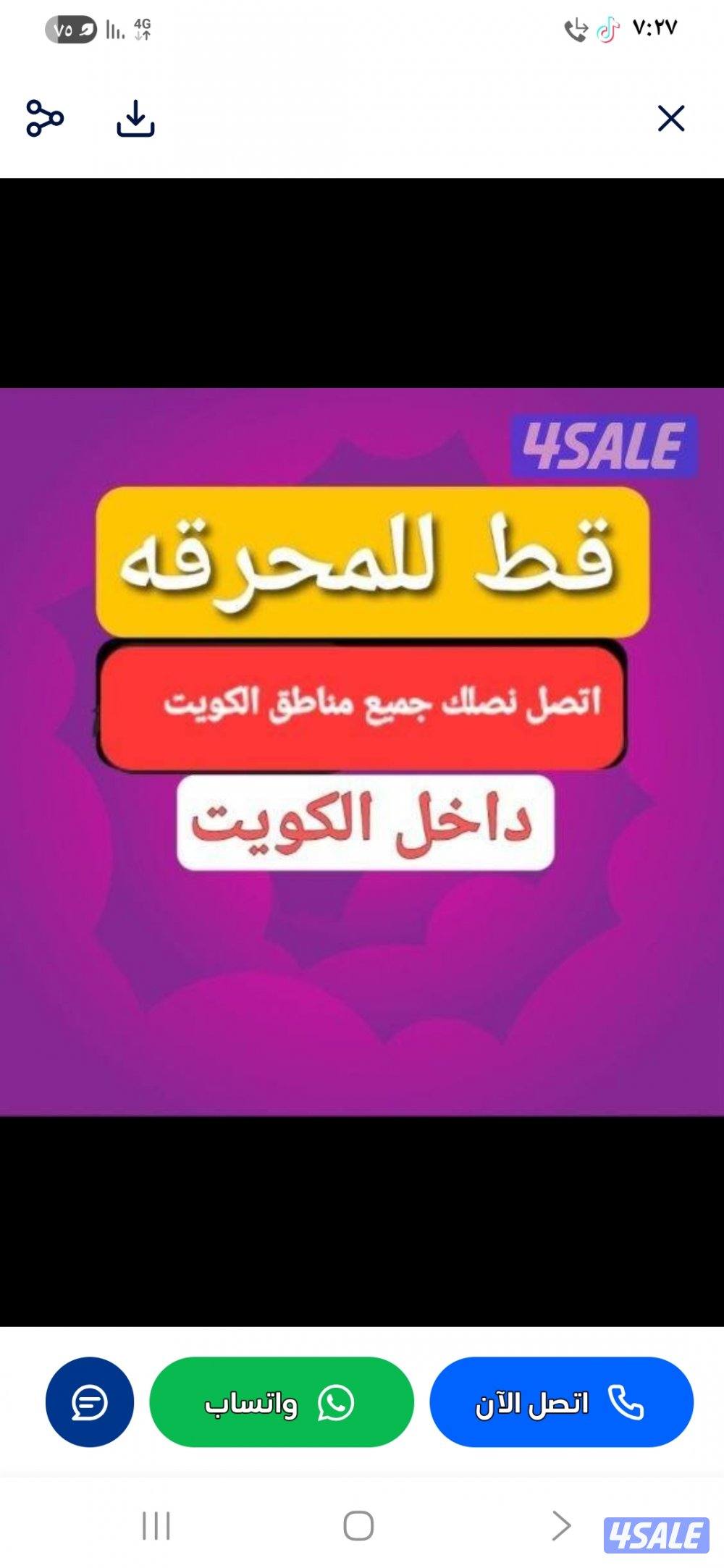 استكراب استكراب قط اغراض للمحرقه استكراب استكراب استكراب6