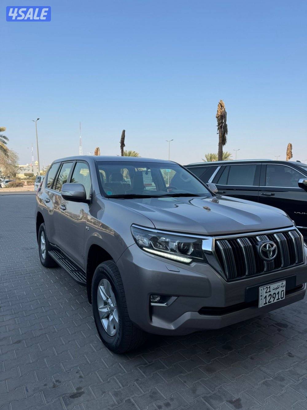 بيعة سريعة3